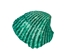 Dyed Ark Shells 0.50"-1" (1 kg or 2.2 lbs)   - 2HS-3406D-KG (Y3K)
