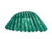Dyed Ark Shells 0.50"-1" (1 kg or 2.2 lbs)   - 2HS-3406D-KG (Y3K)