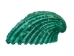 Dyed Ark Shells 0.50"-1" (1 kg or 2.2 lbs)   - 2HS-3406D-KG (Y3K)