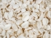 Small White Ark Shells 0.75""-1.50" (1 kg or 2.2 lbs)  - 2HS-3406S-KG