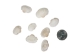 Small White Ark Shells 0.75""-1.50" (1 kg or 2.2 lbs)  - 2HS-3406S-KG