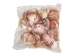Florida Calico Shells 0.75"-3.25" (gallon)    - 2HS-3435-GA (Y3K)