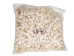 Nassa Arcularis Shells 0.75"-1" (gallon)     - 2HS-3440-GA (Y3K)
