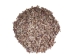 Coquina Clam Shells 0.375"-0.75" (1 kg or 2.2 lbs)  - 2HS-3530K-KG (Y3LRL)