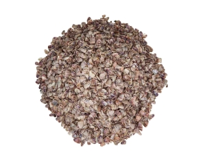 Coquina Clam Shells 0.375"-0.75" (1 kg or 2.2 lbs)  