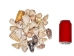 Cones Assorted Polished Shells 2"-3" (1 kg or 2.2 lbs)  - 2HS-3612SK-KG (Y3K)