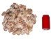 Pecten Tranquebaricus Shells 1"-1.75" (1 kg or 2.2 lbs)  - 2HS-3661K-KG (Y3K)