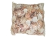 Pecten Tranquebaricus Shells 1"-1.75" (1 kg or 2.2 lbs)  - 2HS-3661K-KG (Y3K)