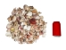 Philippine Mix Shells 1.25"-2.50" (gallon)    - 2HS-3701-GA (Y3KRU)