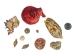 Philippine Mix Shells 1.25"-2.50" (gallon)    - 2HS-3701-GA (Y3KRU)