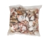 Philippine Mix Shells 1.25"-2.50" (gallon)    - 2HS-3701-GA (Y3KRU)