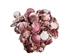 Purple Pecten Shells 1.50"-2.75" (1 kg or 2.2 lbs) - 2HS-3706K-KG (Y3K)