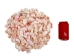 Light Rose Tellina Shells 1"-2" (gallon)     - 2HS-3717-GA (Y3K)
