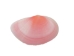 Light Rose Tellina Shells 1"-2" (gallon)     - 2HS-3717-GA (Y3K)