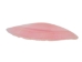 Light Rose Tellina Shells 1"-2" (gallon)     - 2HS-3717-GA (Y3K)