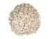 Dogwood Clam Shells 0.50"-0.75" (gallon)      - 2HS-3760-GA (9UL5)