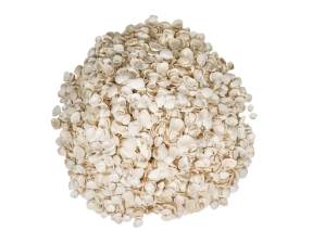 Dogwood Clam Shells 0.50"-0.75" (gallon)      