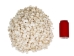 Dogwood Clam Shells 0.50"-0.75" (gallon)      - 2HS-3760-GA (9UL5)