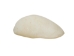 Dogwood Clam Shells 0.50"-0.75" (gallon)      - 2HS-3760-GA (9UL5)