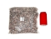 Lightning Dove Shells 0.375"-0.75" (gallon)       - 2HS-3761-GA (Y3K)