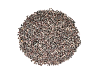 Lightning Dove Shells 0.375"-0.75" (gallon)       