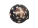 Lightning Dove Shells 0.375"-0.75" (gallon)       - 2HS-3761-GA (Y3K)