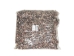 Lightning Dove Shells 0.375"-0.75" (gallon)       - 2HS-3761-GA (Y3K)
