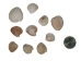 Banded Venus Shells 0.625"-1" (gallon)      - 2HS-3820-GA (Y3K)