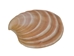 Banded Venus Shells 0.625"-1" (gallon)      - 2HS-3820-GA (Y3K)