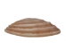 Banded Venus Shells 0.625"-1" (gallon)      - 2HS-3820-GA (Y3K)