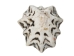 Star Limpet Shells 0.75"-1.25" (gallon)       - 2HS-3936-GA (Y3K)