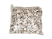 Star Limpet Shells 0.75"-1.25" (gallon)       - 2HS-3936-GA (Y3K)