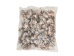 Vasum Vasum Shells 1.50"-2" (gallon)    - 2HS-3962-GA (Y3K)