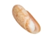 Hirase's Olive Shells 0.75"-1.25" (1 kg or 2.2 lbs)  - 2HS-3999-KG (Y3K)