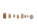 Hirase's Olive Shells 0.75"-1.25" (1 kg or 2.2 lbs)  - 2HS-3999-KG (Y3K)