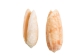 Hirase's Olive Shells 0.75"-1.25" (1 kg or 2.2 lbs)  - 2HS-3999-KG (Y3K)