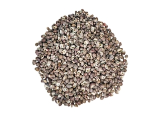 Neritina Parallela Shells 0.25"-0.75" (1 kg or 2.2 lbs)  