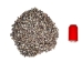 Neritina Parallela Shells 0.25"-0.75" (1 kg or 2.2 lbs)  - 2HS-4109K-KG (Y3K)