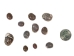 Neritina Parallela Shells 0.25"-0.75" (1 kg or 2.2 lbs)  - 2HS-4109K-KG (Y3K)