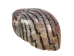 Neritina Parallela Shells 0.25"-0.75" (1 kg or 2.2 lbs)  - 2HS-4109K-KG (Y3K)