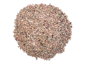 FW Umbonium Shells 0.375"-0.437" (1 kg or 2.2 lbs)  