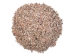 Button Top Shells 0.375"-0.437" (1 kg or 2.2 lbs)  - 2HS-4189-KG (Y3K)
