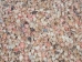 Button Top Shells 0.375"-0.437" (1 kg or 2.2 lbs)  - 2HS-4189-KG (Y3K)