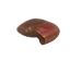 Button Top Shells 0.375"-0.437" (1 kg or 2.2 lbs)  - 2HS-4189-KG (Y3K)