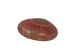 Button Top Shells 0.375"-0.437" (1 kg or 2.2 lbs)  - 2HS-4189-KG (Y3K)
