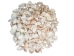 White Shell Mix  (gallon) - 2HS-4250G-GA (Y3K)
