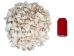 White Shell Mix  (gallon) - 2HS-4250G-GA (Y3K)