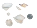 White Shell Mix  (gallon) - 2HS-4250G-GA (Y3K)