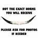 Pair of Polished Steer Horns: 24" to 26": Assorted - 304-P2426-AS (Y3HRN)