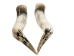 Pair of Polished Steer Horns: 28" to 30": Assorted - 304-P2830-AS (Y3HRK)